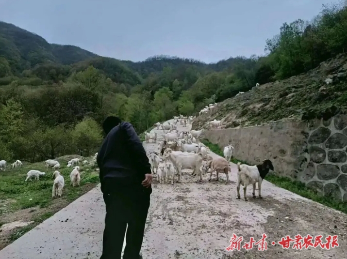 康县：为残疾人创业就业“铺路架桥”