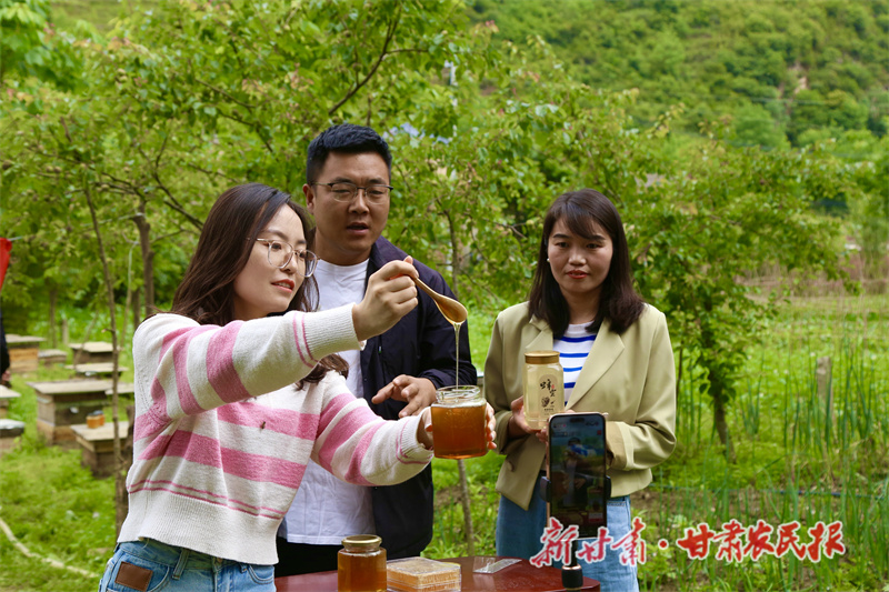 蜂蜜直播推介活动