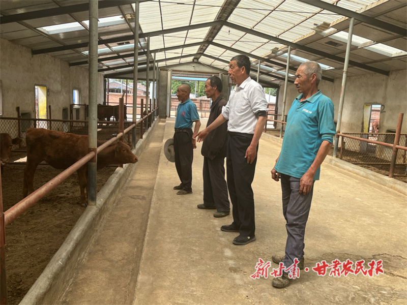 灵台北张村里有个&ldquo;牛&rdquo;支书