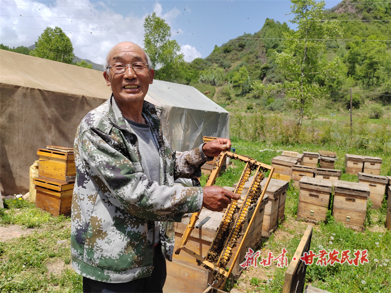 苟登浦 小蜜蜂酿出&ldquo;甜&rdquo;生活