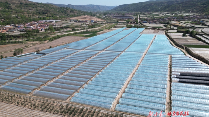 庄浪：西瓜种植有甜头 群众致富有奔头