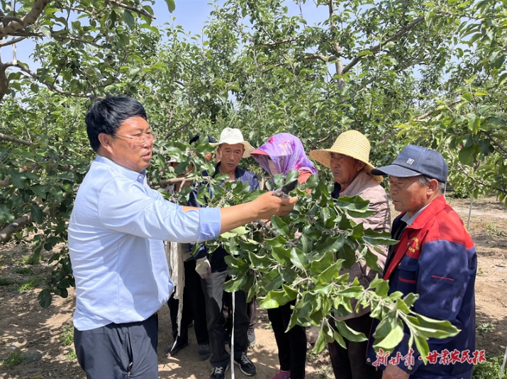 庄浪：果园夏管忙 丰收好奔头