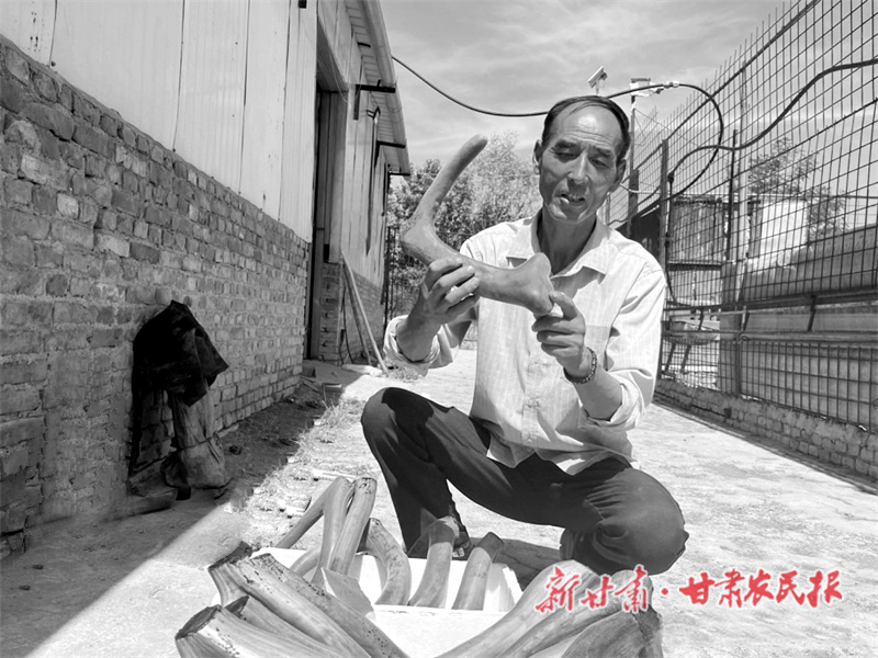 于成科：特色养殖致富有“鹿”