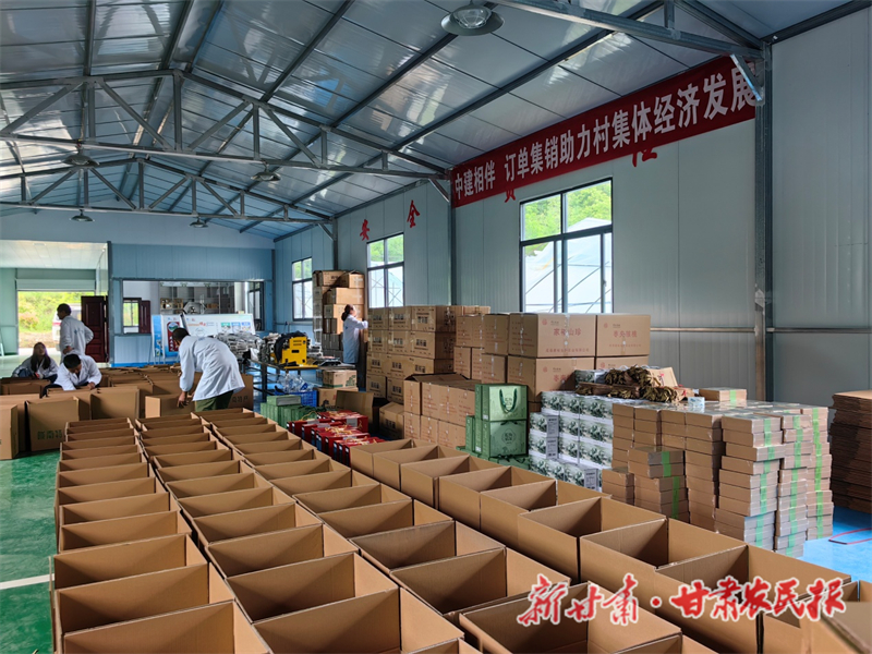 康县：“中建蓝” 情系康城促发展