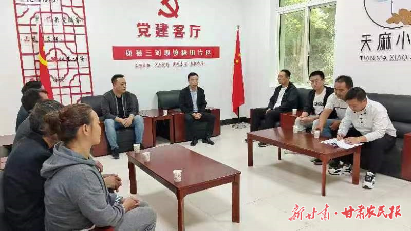 康县三河坝镇：村集体经济打底 筑牢社会服务基石