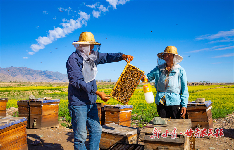 放蜂酿蜜