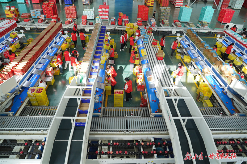 【图片新闻】静宁：智能分选助力苹果“闯”市场