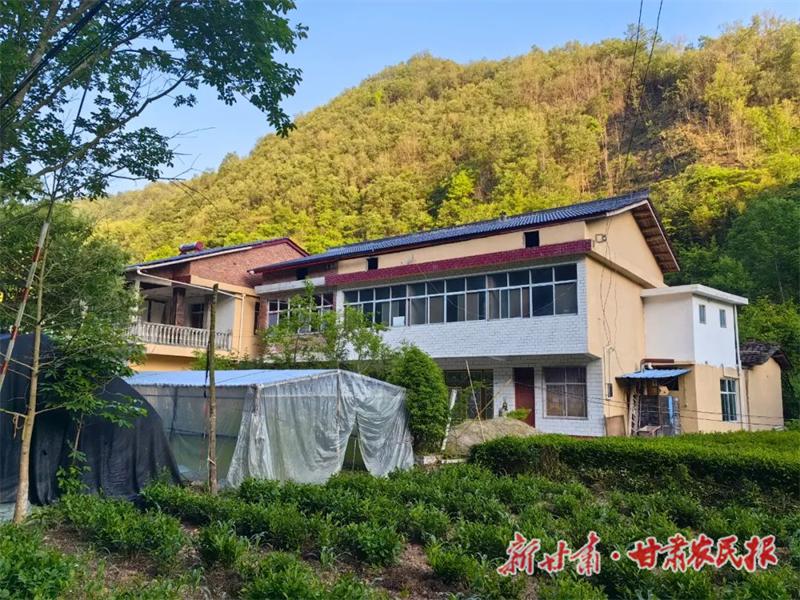 “方寸之地”变“增收之所”——康县庭院“微经济” 发挥乡村振兴“大作用”