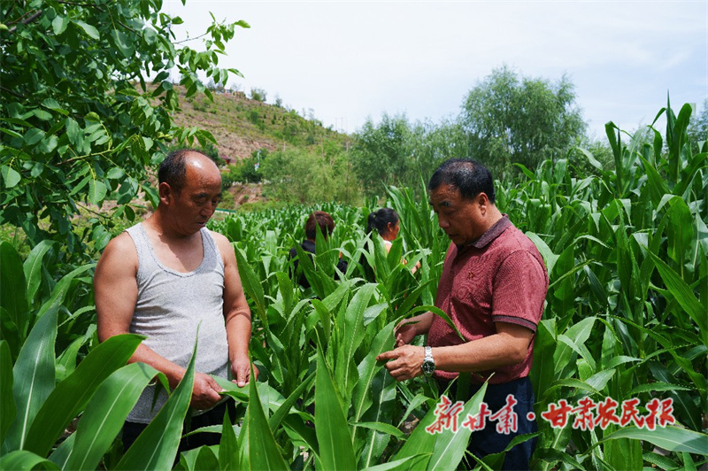 从“城里人”到“村里人”——记永靖县坪沟乡罗山村第一书记沈发贵