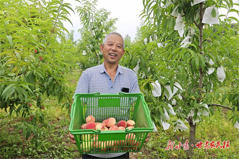 徽县 瓜果飘香产业旺
