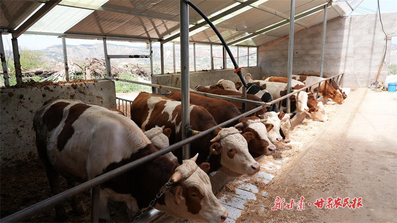 永靖 奏响乡村振兴&ldquo;新牧歌&rdquo;
