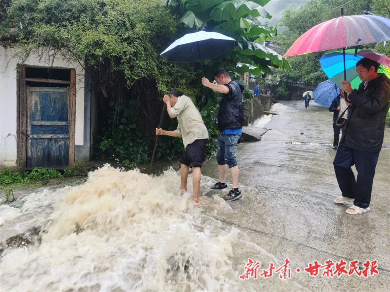 康县：退役军人志愿服务队的临危答卷