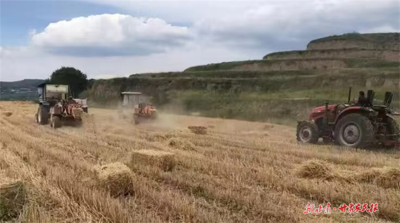 庄浪：“小”麦秆助推牛产业“大”发展