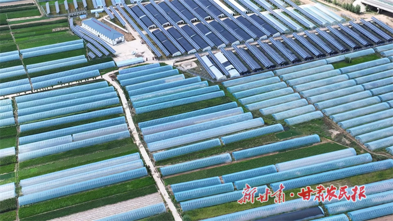 党建引领“三步走” 盘活壮大村集体经济