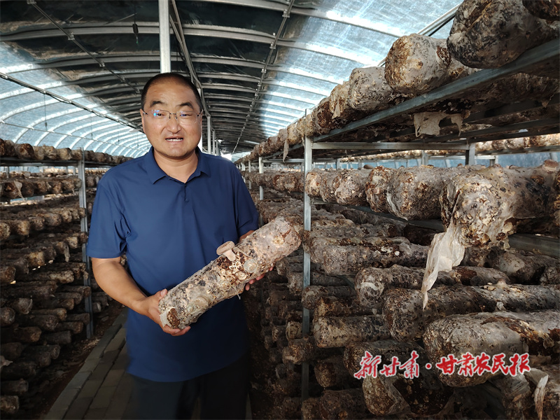 天祝 聚力打造四个十亿级农业产业
