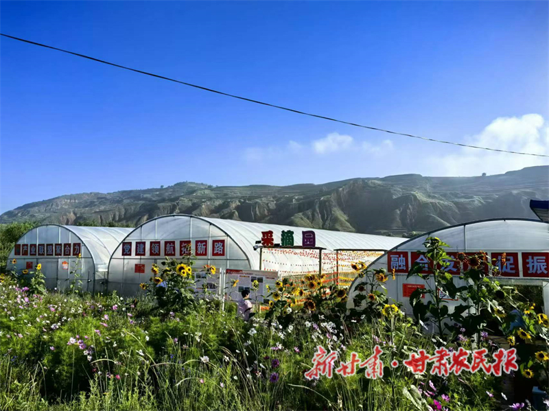 渭源县路园镇：持续擦亮高原夏菜产业名片