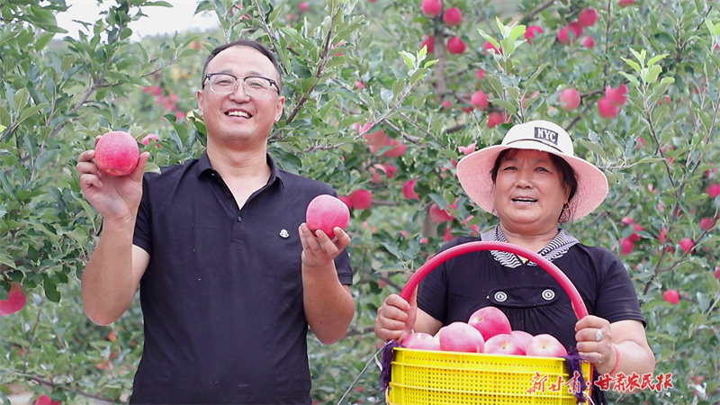 庄浪：苹果走俏“双节”市场