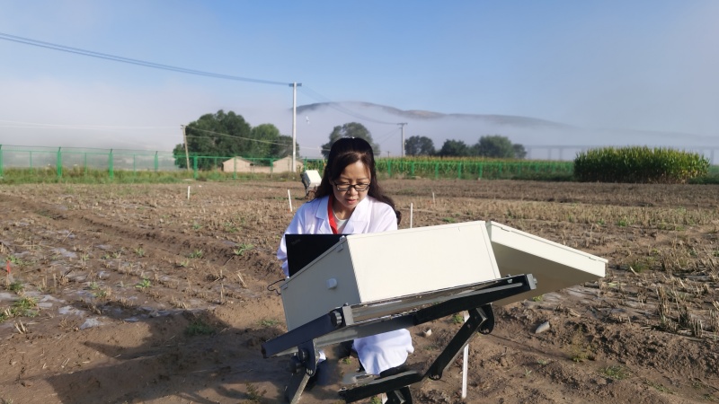侯慧芝 旱作农业的“绿色先锋”