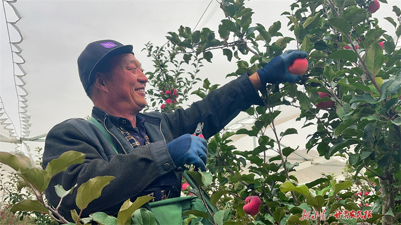 糖分爆表！平凉这场盛会不要太“甜”……

