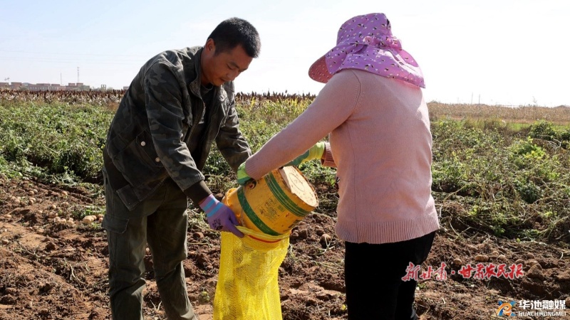 华池 共绘金秋好&ldquo;丰&rdquo;貌
