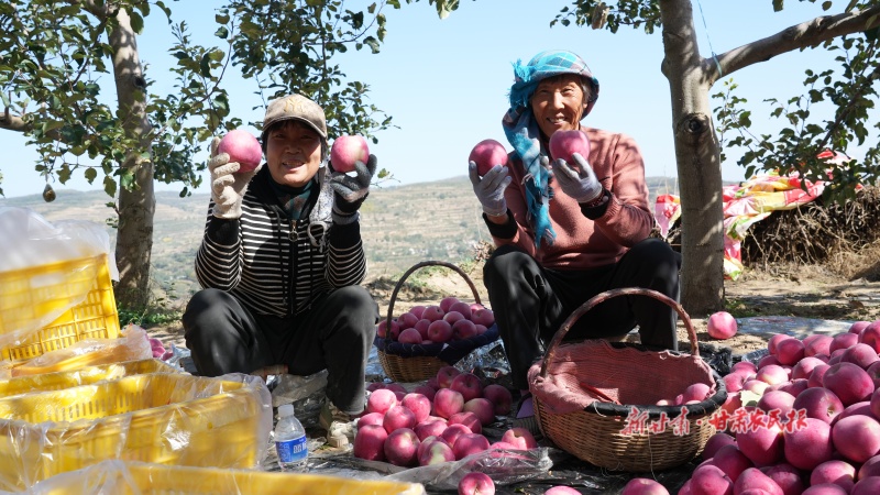 苹果丰收