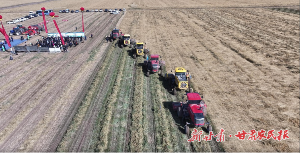 中国草学会饲料生产专业委员会燕麦收获现场观摩暨研讨会在山丹举行

