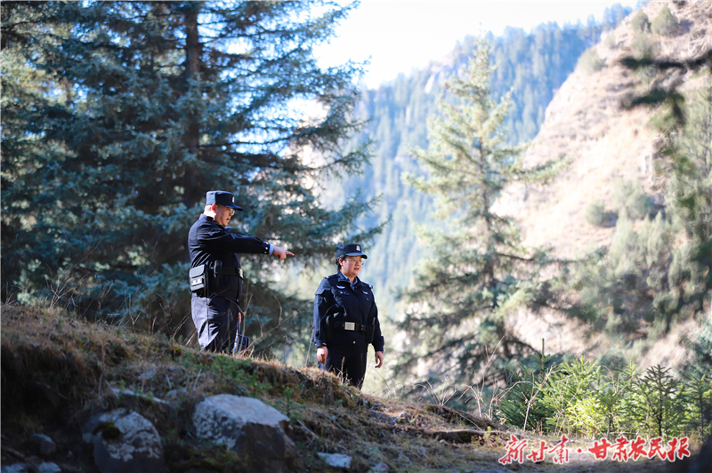 【图片新闻】防患于未“燃”，护林巡查忙