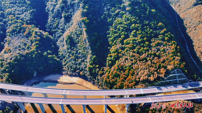 定格时光！崇信秋色斑斓如诗如画