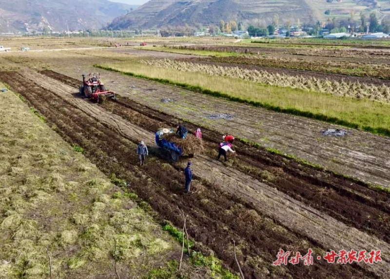岷县：中药材种植打造致富金&ldquo;药&rdquo;匙