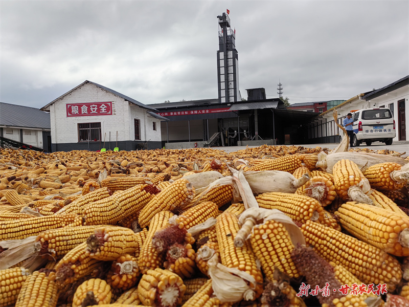 不简单，灵台这个乡镇引资7500万！