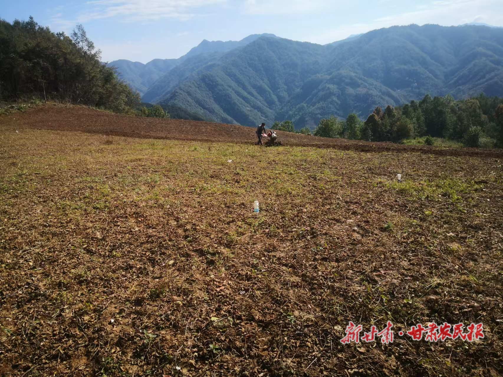 康县：整合撂荒闲置土地 助推村集体经济稳步增长