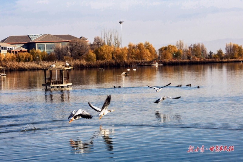 张掖国家湿地公园