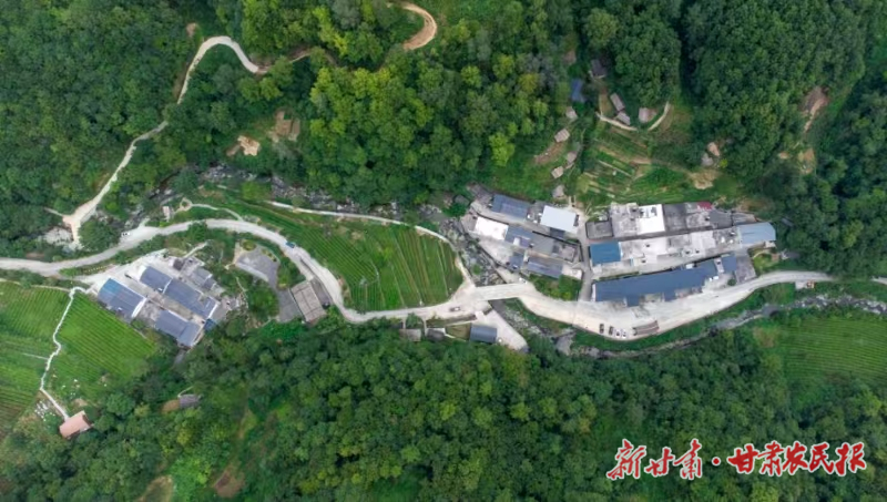 康县：&ldquo;共同发展&rdquo;开辟稳定增收新路径