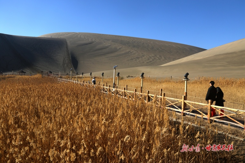 鸣沙山月牙泉景区