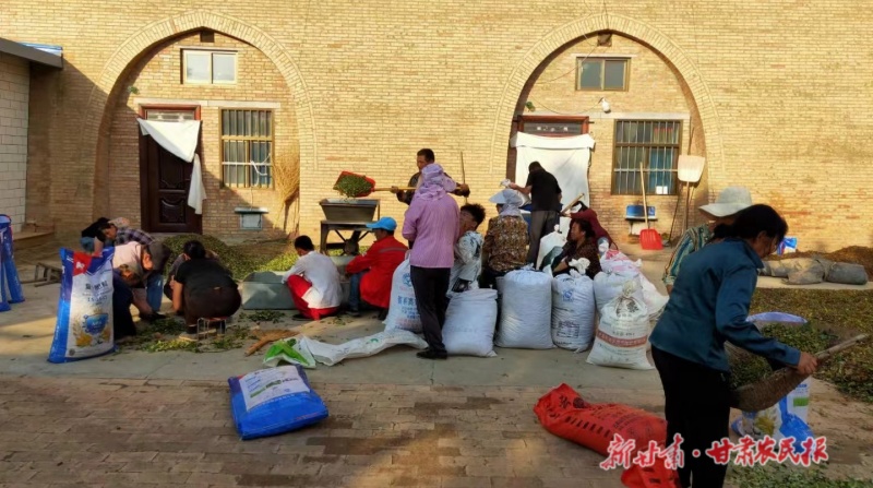 庆城：中药材产业成致富&ldquo;千金方&rdquo;