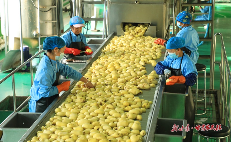 民乐马铃薯雪花全粉生产车间