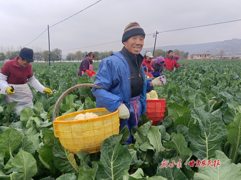 泾川 拎稳菜篮子 &ldquo;蔬&rdquo;写好日子