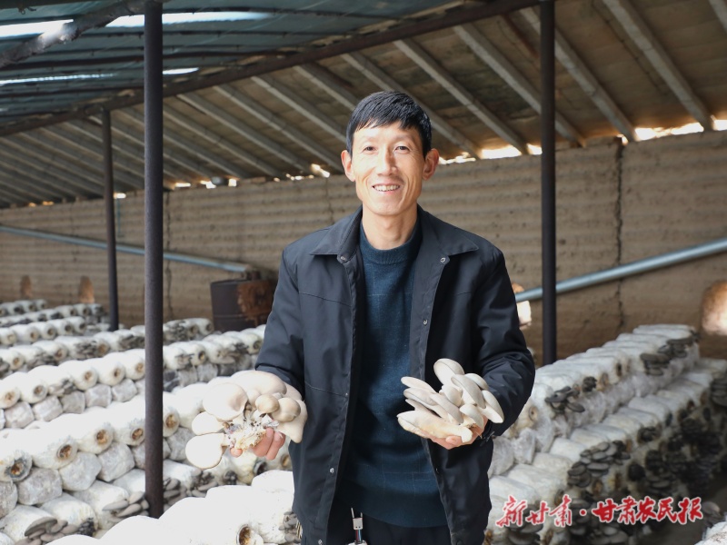 环县 小蘑菇种出好&ldquo;钱&rdquo;景