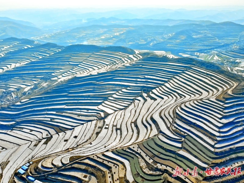 初冬梯田的独特风貌
