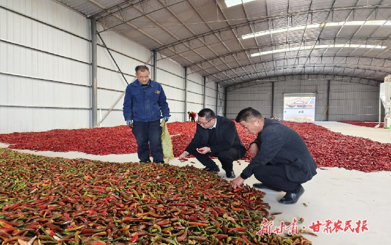 白银市平川区：&ldquo;跨村联建&rdquo;谋发展 携手并进促振兴