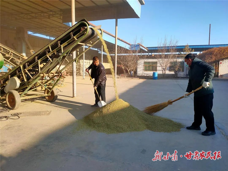 &ldquo;圈粉&rdquo;海外！ 民勤茴香荣登国际舞台