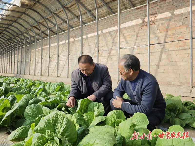 种养结合走出特色产业致富路