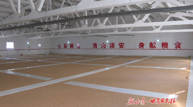 金昌：&ldquo;黑科技&rdquo;助力守护&ldquo;米袋子&rdquo;