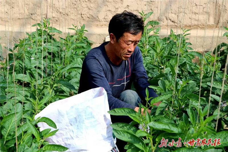 民勤县东坝镇：&ldquo;话&rdquo;丰收 &ldquo;晒&rdquo;幸福