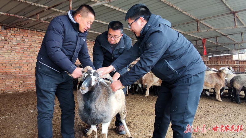专家在农场开展技术指导