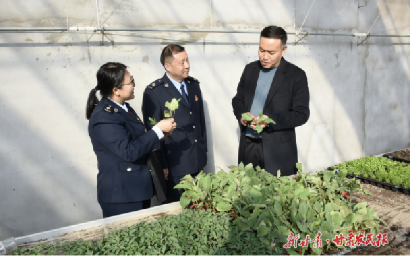 武威：为&ldquo;菜篮子&rdquo;注入税惠&ldquo;养分&rdquo;