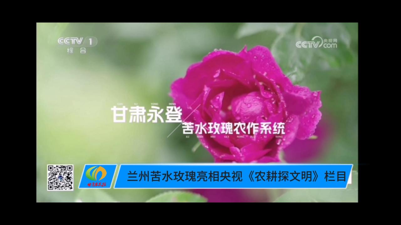 【短视频】兰州苦水玫瑰亮相央视《农耕探文明》栏目