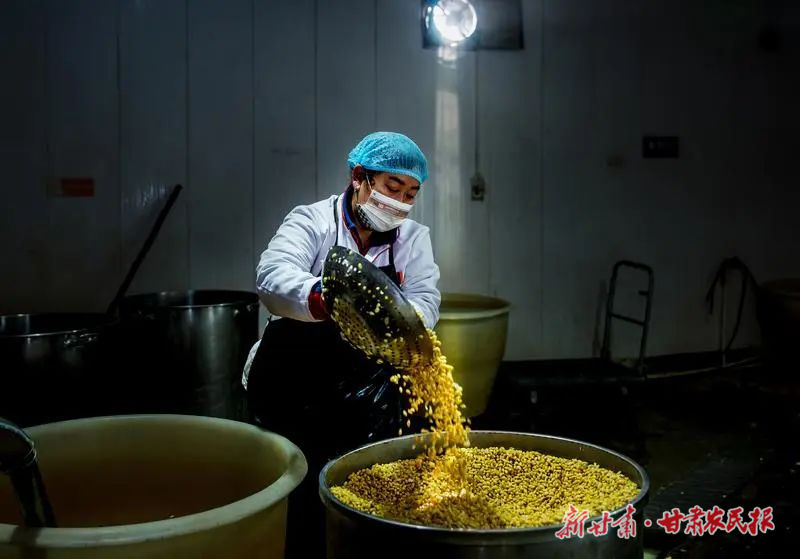 【图片新闻】天祝：小小豆腐坊&ldquo;磨&rdquo;出致富路