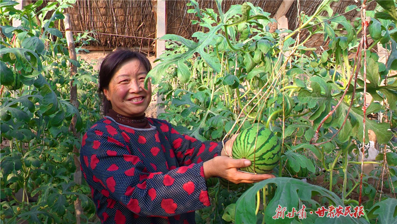 永昌县朱王堡镇：西瓜里的&ldquo;甜蜜&rdquo;致富经