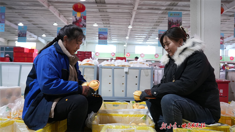 静宁：苹果产地冷链物流园生产“火热”